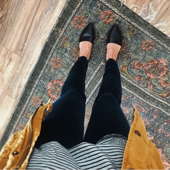 LC Lauren Conrad Pants - [Lauren Conrad] velvet teal pants